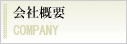ЊTv